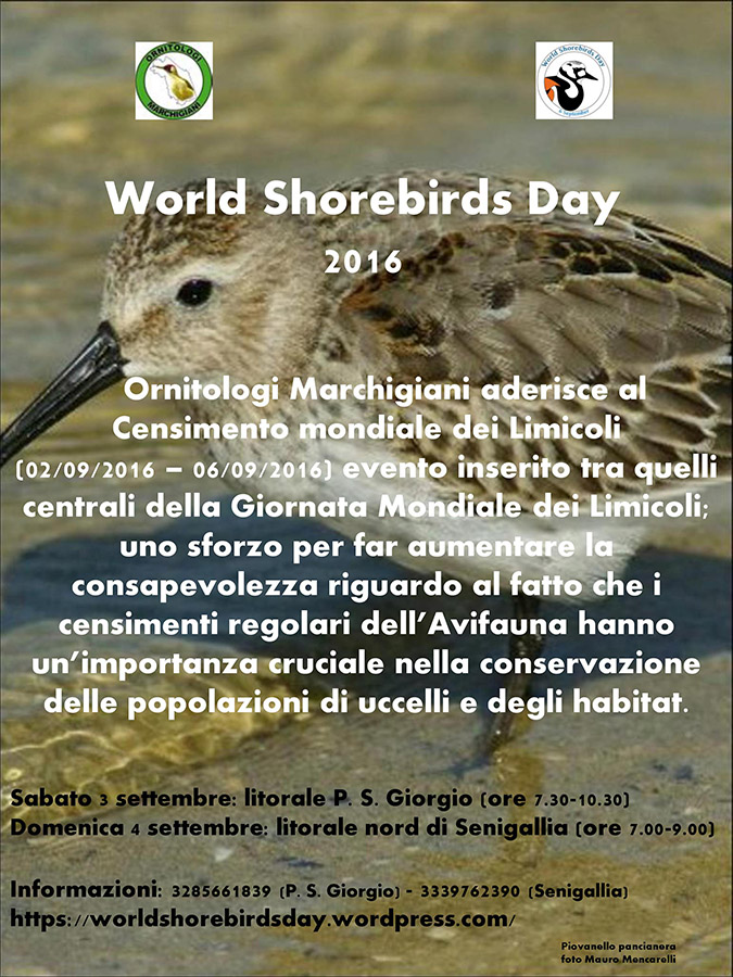 World Shorebirds Day
