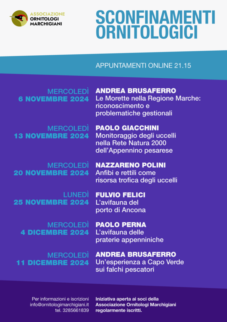 sconfinamenti-ornitologici