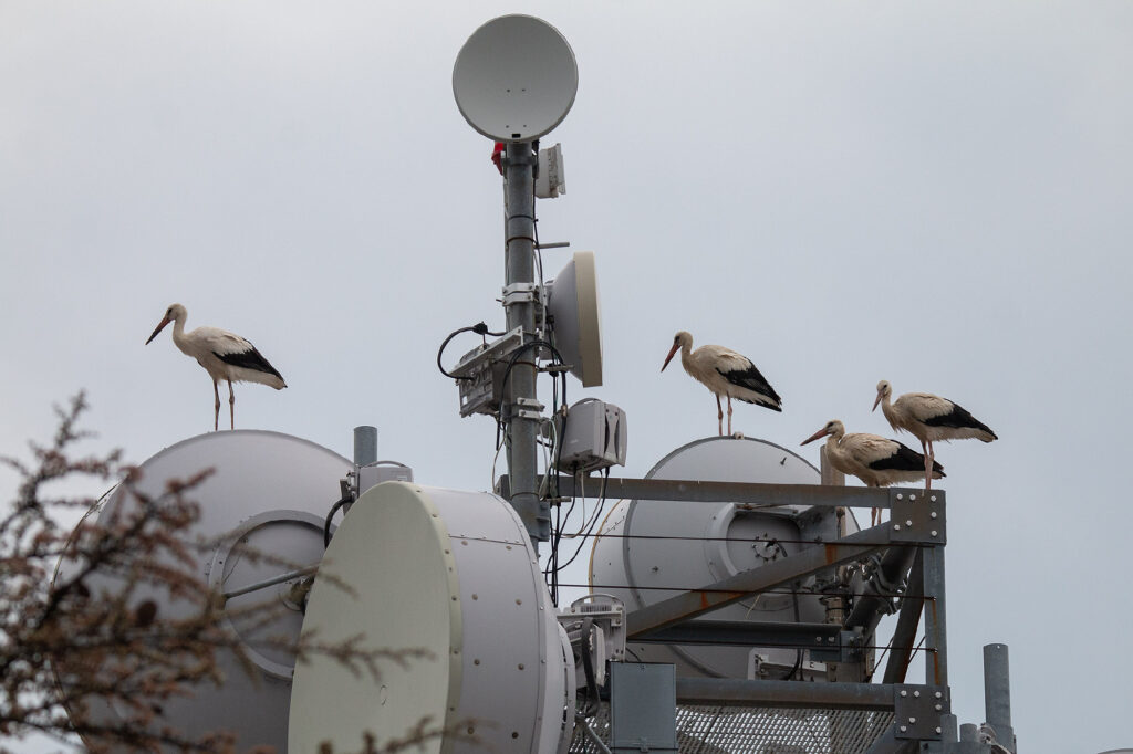 1755761964_3d94d182153e7ead713130ed3bf85c9a