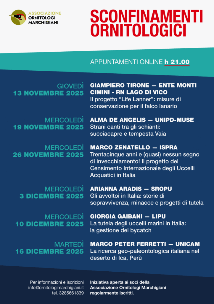 sconfinamenti-ornitologici